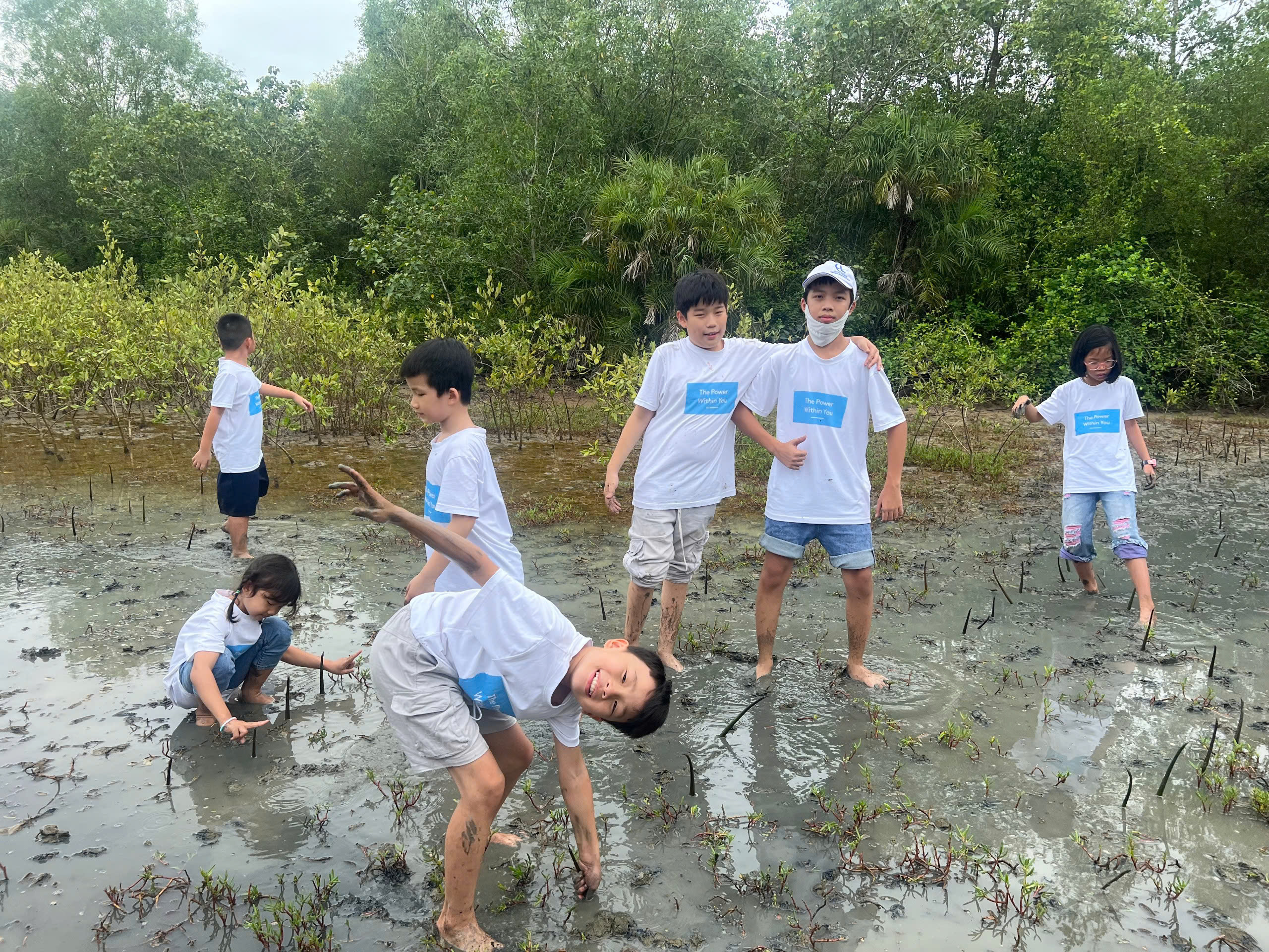 Immersive Study Programs