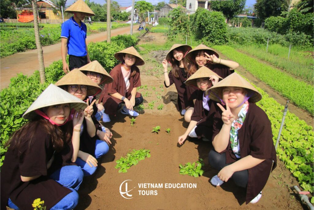 Culture Exchange Tra Que: An Authentic Vietnamese Farming & Cooking Experience