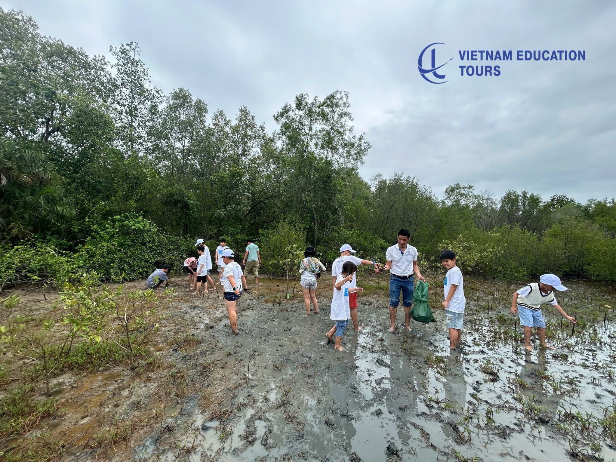 Experiencing Mangrove Planting in the Mudflats of Can Gio Experiencing Mangrove Planting in the Mudflats of Can Gio
