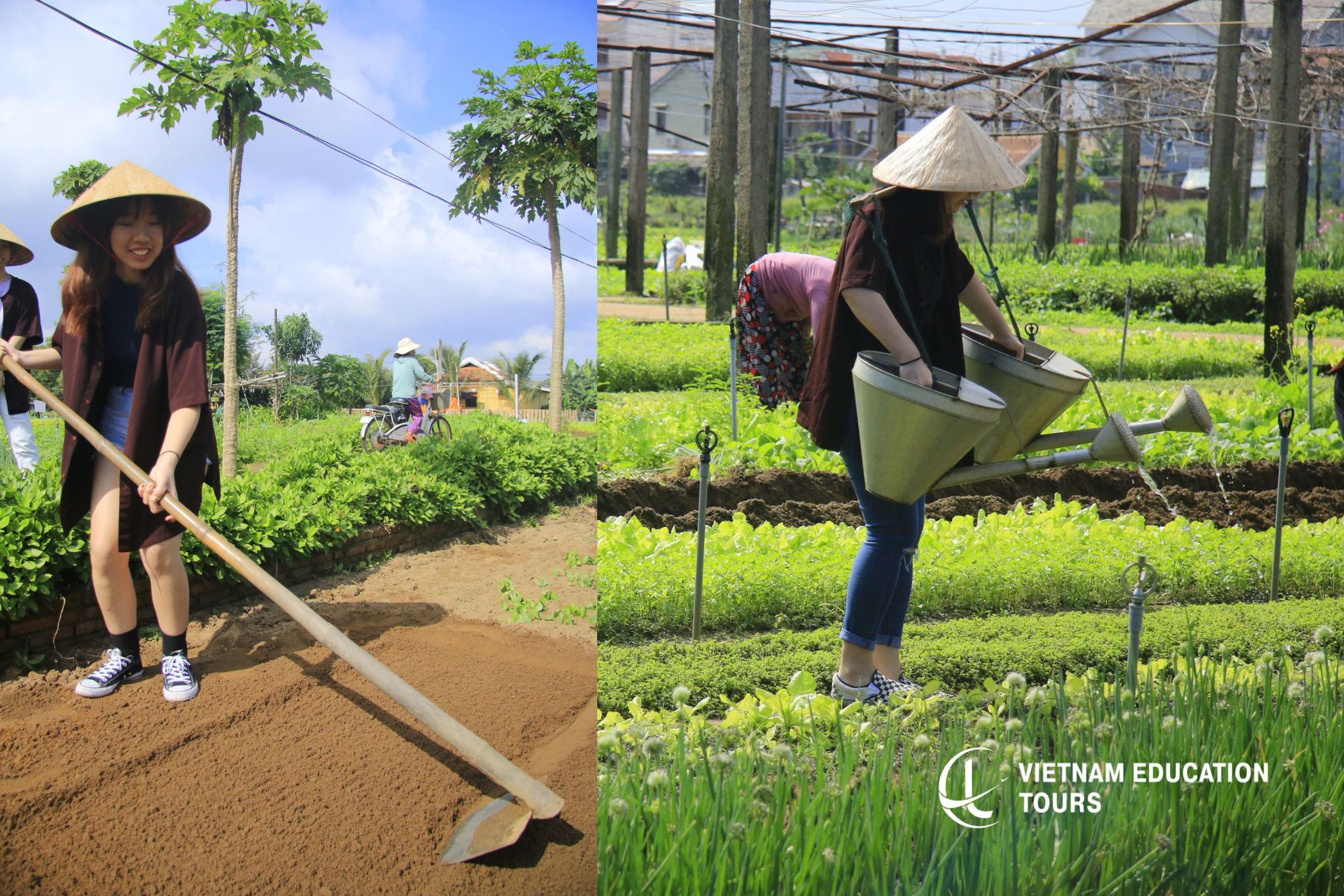Farming Experience: Planting, Watering, and Harvesting Veggies Farming Experience: Planting, Watering, and Harvesting Veggies