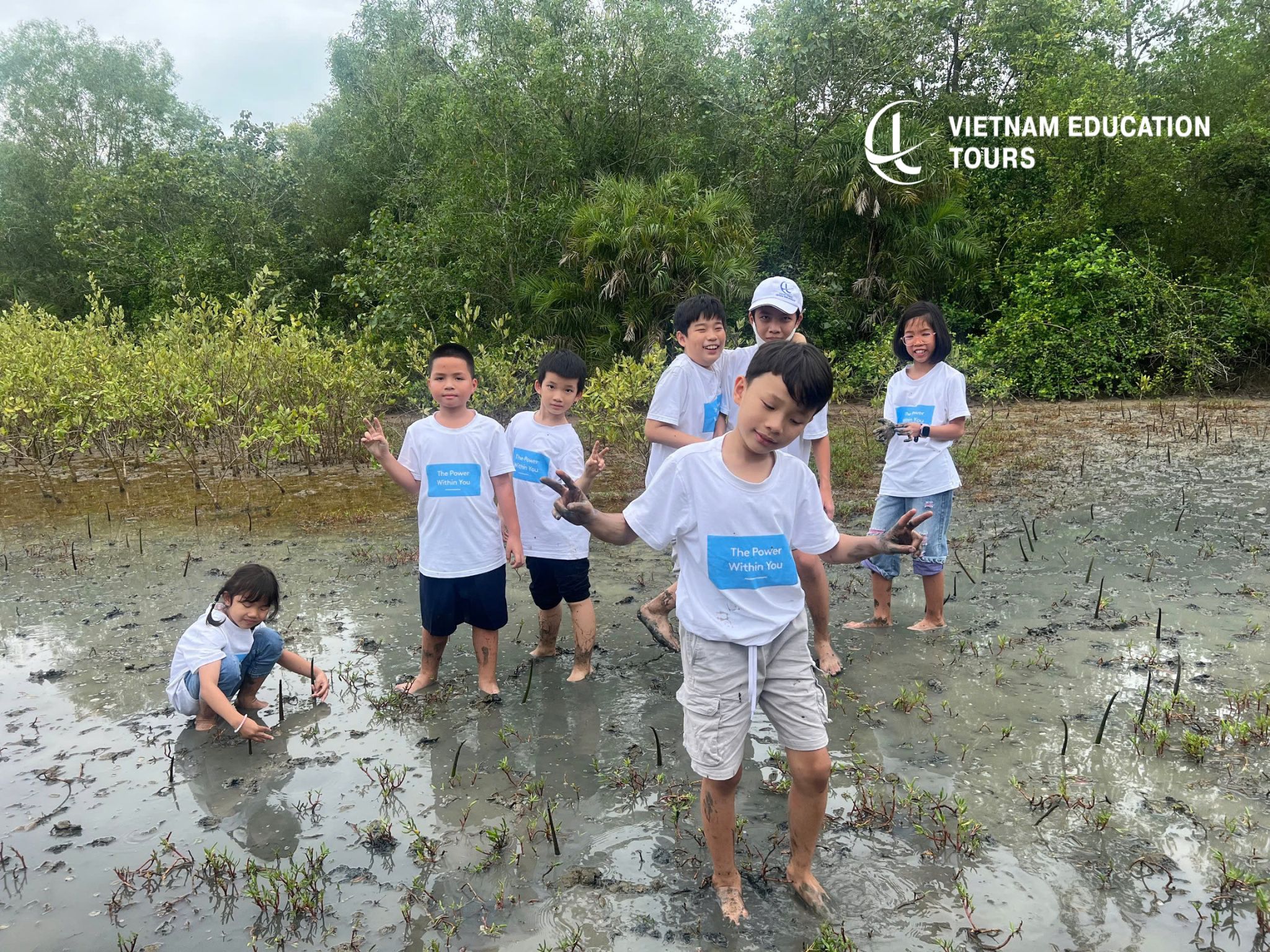 The Long-term Value of the Can Gio Afforestation Project The Long-term Value of the Can Gio Afforestation Project