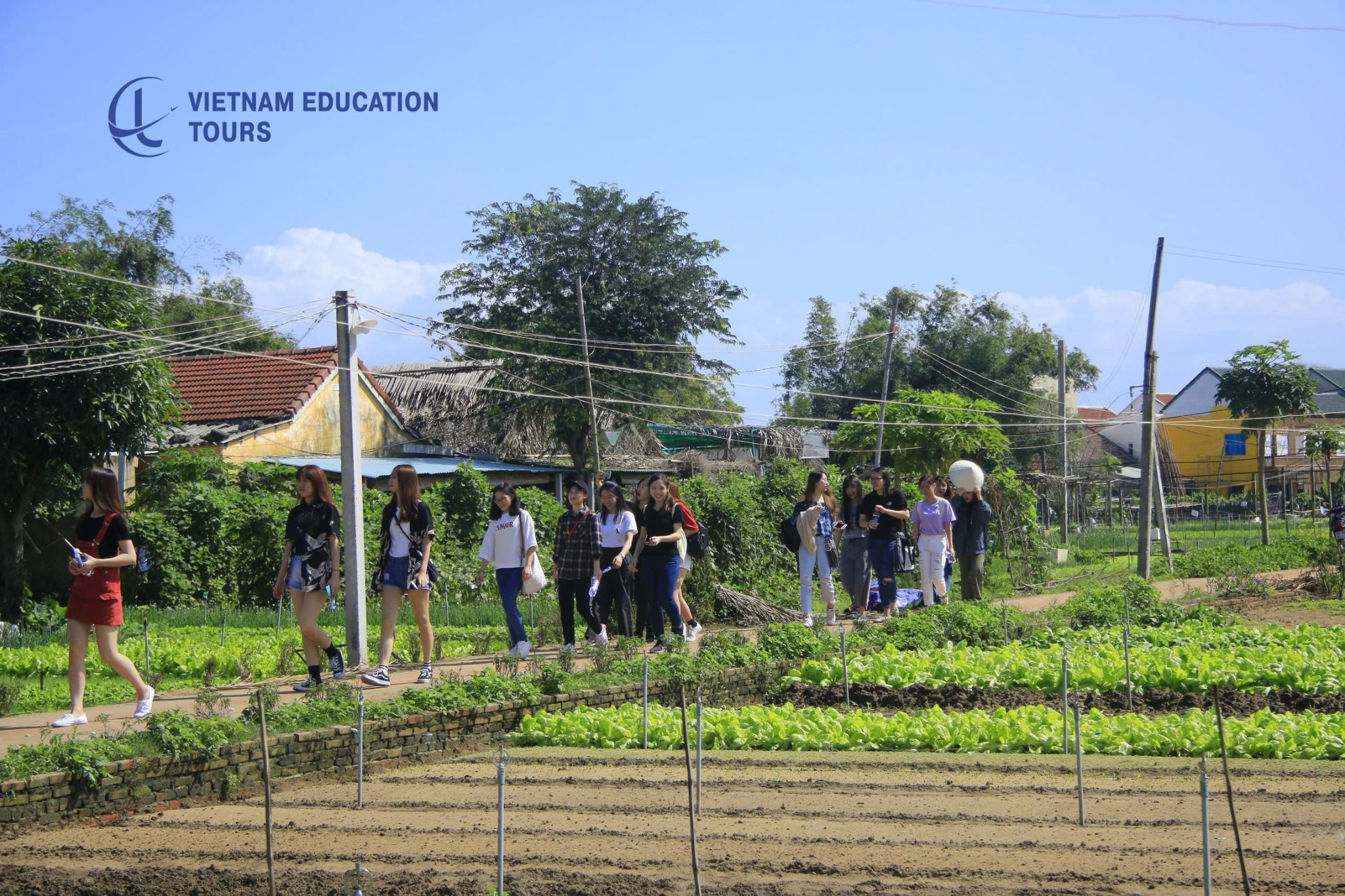 Tra Que Vegetable Village - A Cultural Gem in Hoi An Tra Que Vegetable Village - A Cultural Gem in Hoi An