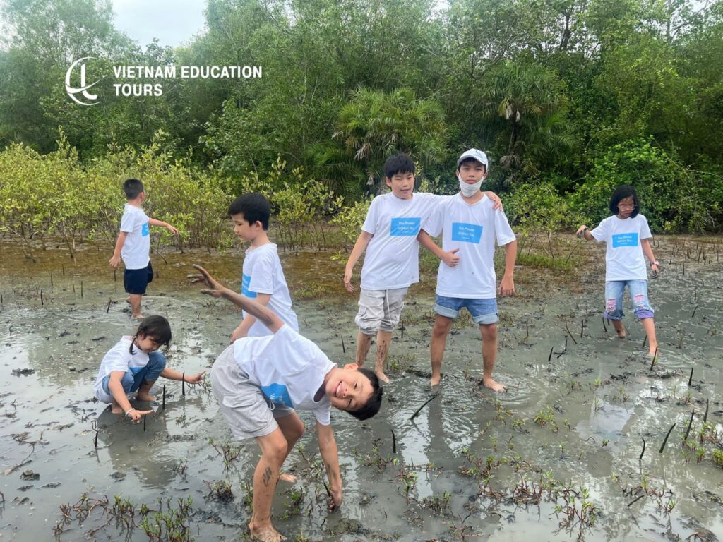 Vietnam ESG Project: Can Gio Afforestation Program