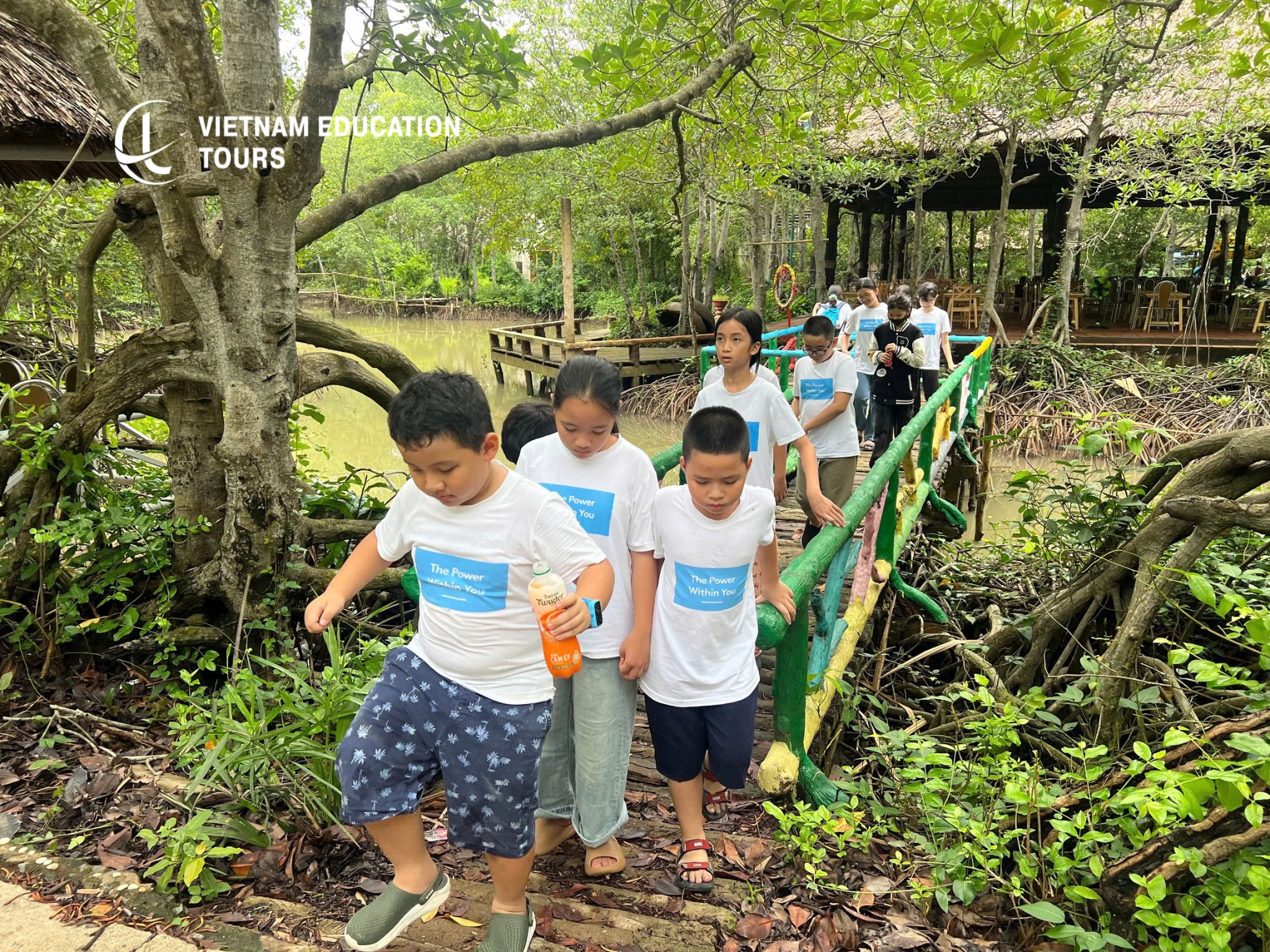 Why Mangrove Planting Matters in Vietnam’s ESG Projects Why Mangrove Planting Matters in Vietnam’s ESG Projects